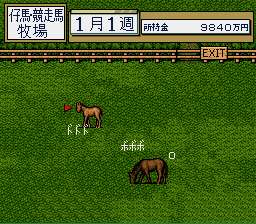 Thoroughbred Breeder screenshot 4 for Super Famicom